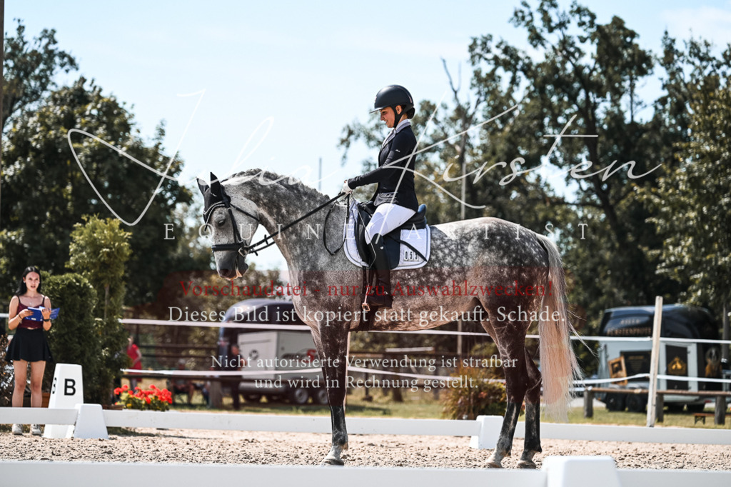 DSC_5574 | Pferde- und Turnierfotografie in Westsachsen. Pferdeportraits, Auftragszeichnungen und intuitive Kunst.