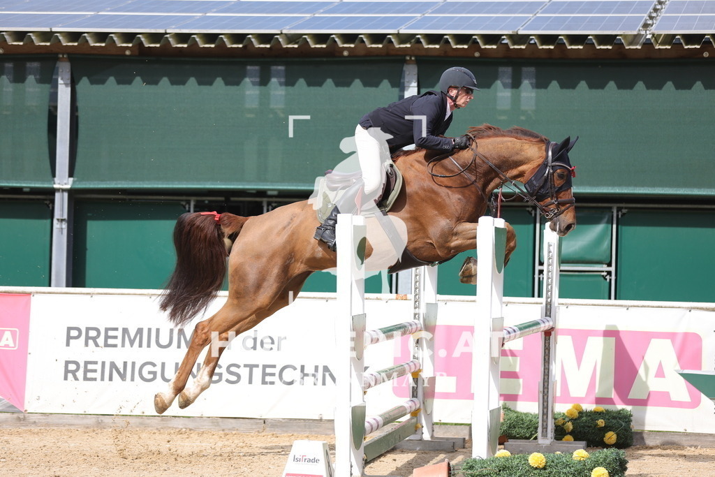 0P6A9589 | Willkommen bei Brunnmayr - Design & Fotografie – Ihrem Spezialisten für Reitturniere und Pferdeveranstaltungen in Oberösterreich, Salzburg und Bayern! Seit über 17 Jahren sind wir leidenschaftlich dabei.