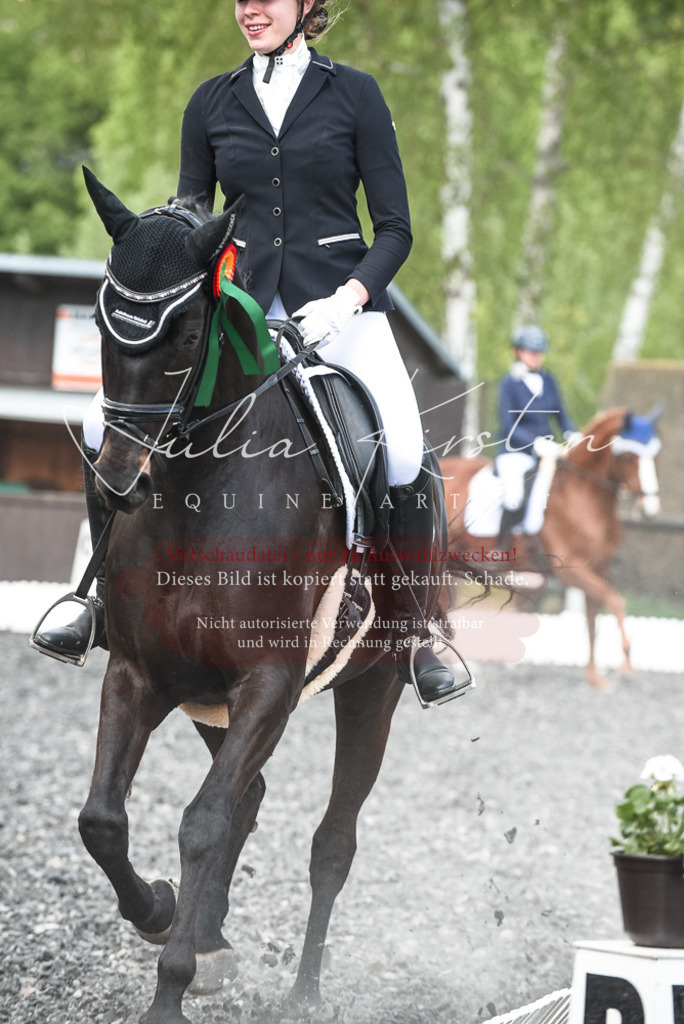 DSC_9100 | Pferde- und Turnierfotografie in Westsachsen. Pferdeportraits, Auftragszeichnungen und intuitive Kunst.