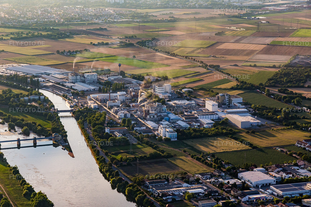 Luftbild: Werksgelände des Chemieproduzenten ICL Germany Ladenburg / BK Giulini GmbH am Neckar in Ladenburg im Bundesland Baden-Württemberg in Deutschland. Foto: IMG_109372.jpg vom 30.07.2018 durch Werner Riehm/FLY-FOTO.de