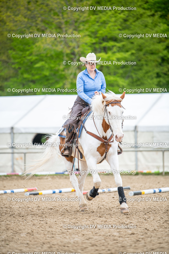 Heiligenwald Tag 1-2042 | dv-media-shop - Realisiert mit Pictrs.com