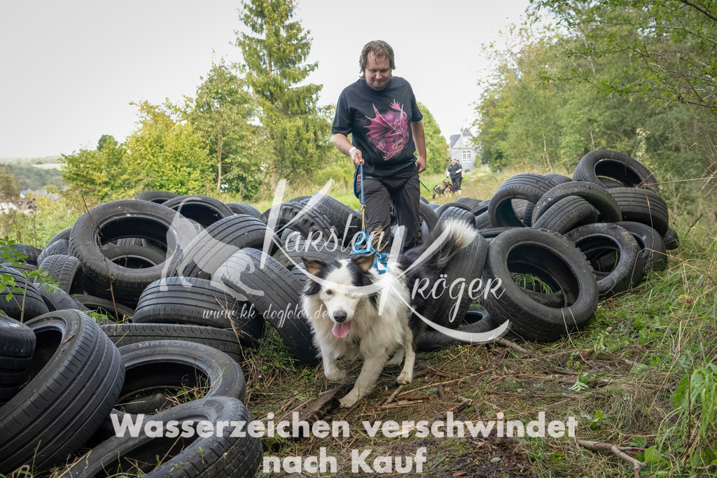 1502_ZZ90867-Bearbeitet | kk-dogfotos