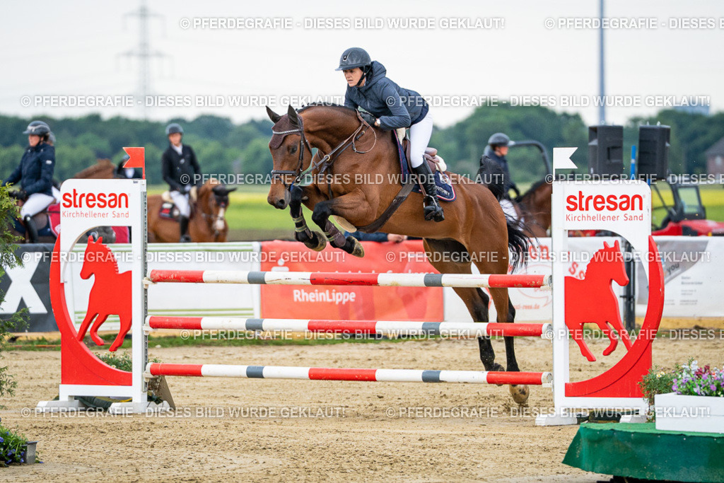 DSC05602 | Pferdegrafie