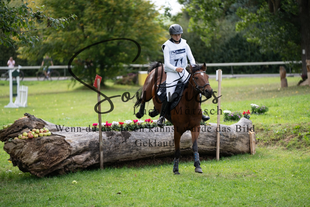 A7V03762 | Pferdefotograf