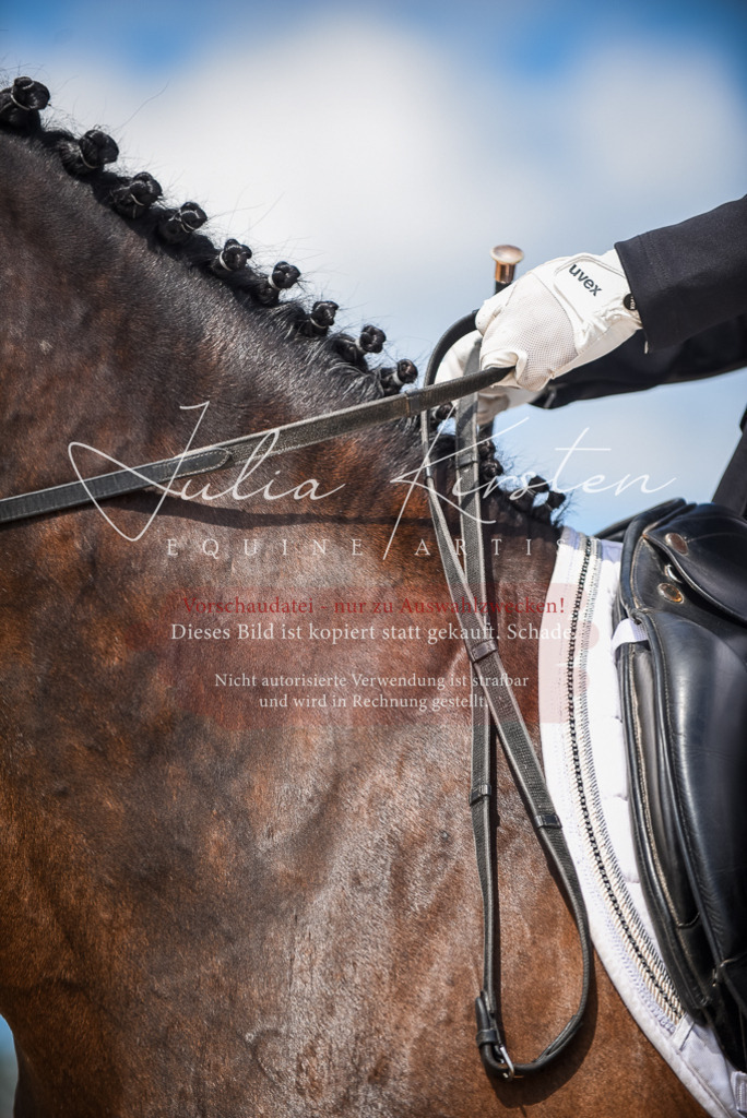 DSC_9296 | Pferde- und Turnierfotografie in Westsachsen. Pferdeportraits, Auftragszeichnungen und intuitive Kunst.