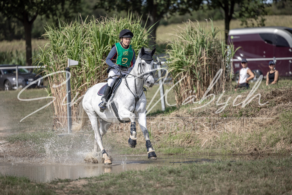 20250907-_3LI1137 | Tierfotografie Pferde, Hunde, Katzen, Haustiere.
Turnierfotografie Reitturniere, Reiten, Springreiten, Dressur in Hanau, dem Main-Kinzig-Kreis und dem Rhein-Main- Gebiet um Frankfurt