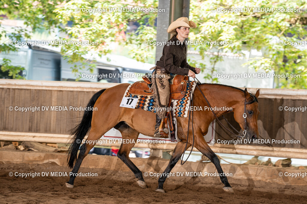 Erbach Tag 1-759 | dv-media-shop - Realisiert mit Pictrs.com