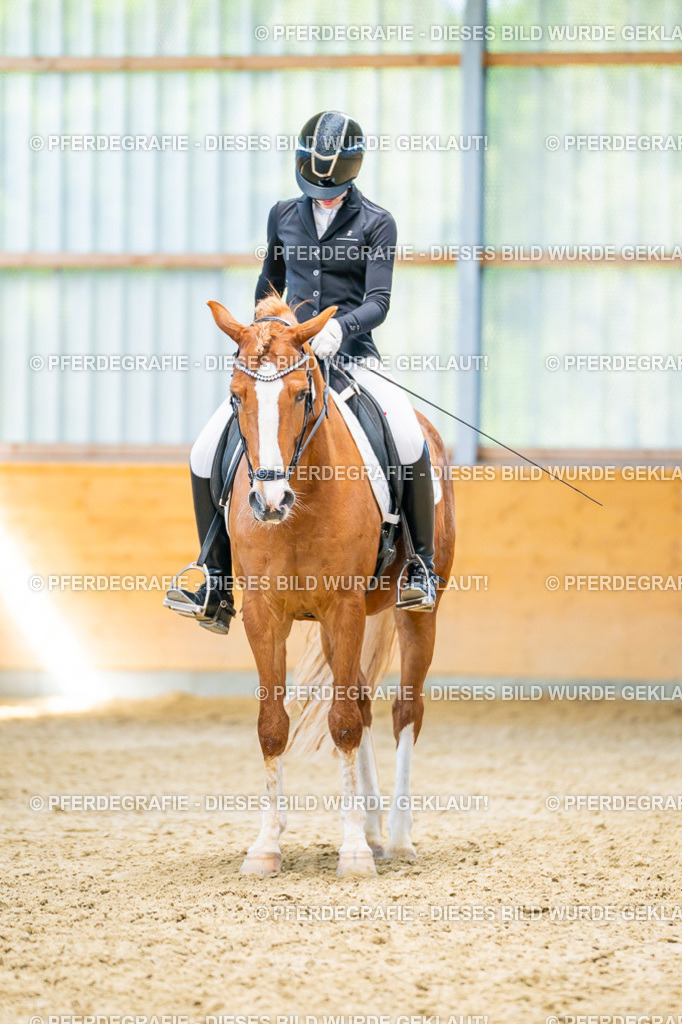 DSC08196 | Pferdegrafie