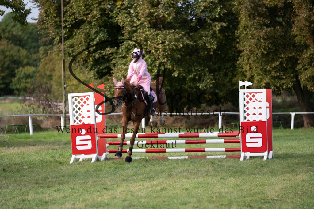 A7V06504 | Pferdefotograf