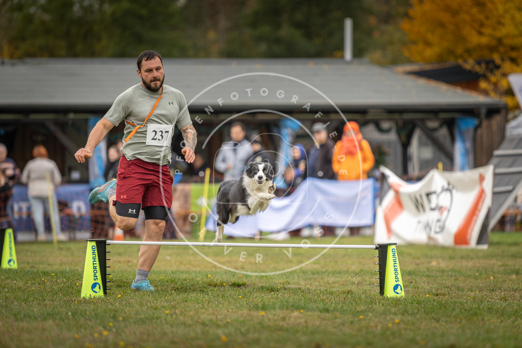 Pfotenfotografie_DV3A4923 | Hundefotografie, Tierfotograf, Pfotenfotografie, Fotoshooting Hund, Hunde Portrait, Hundesport, Hundeportraits, Heideshooting, Hunde, Sportfotograf, Hundefotograf, Turnierhundsport, THS,  - Realisiert mit Pictrs.com
