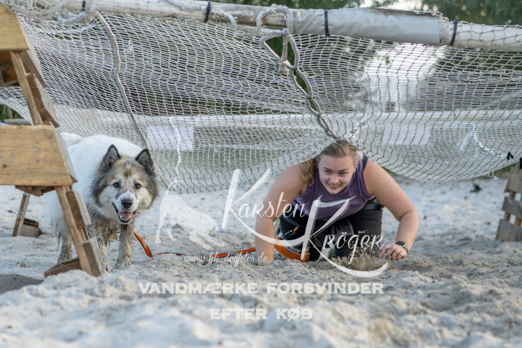 1642_ZZ98671 | kk-dogfotos