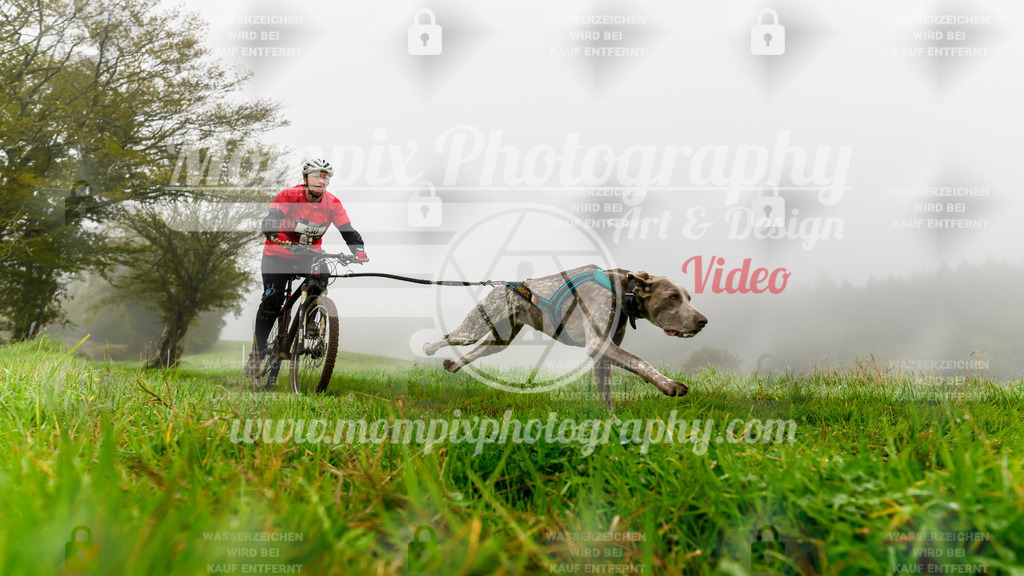 MompixPhotography_20TSB_E5_Bike-118 | PayLife