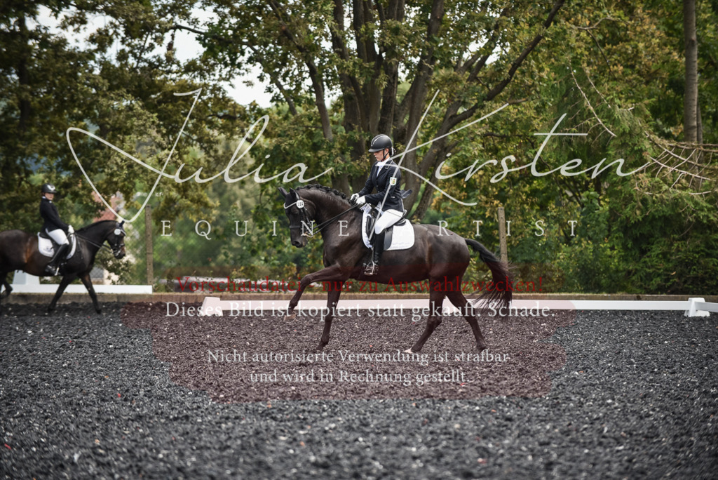 DSC_5073 | Pferde- und Turnierfotografie in Westsachsen. Pferdeportraits, Auftragszeichnungen und intuitive Kunst.