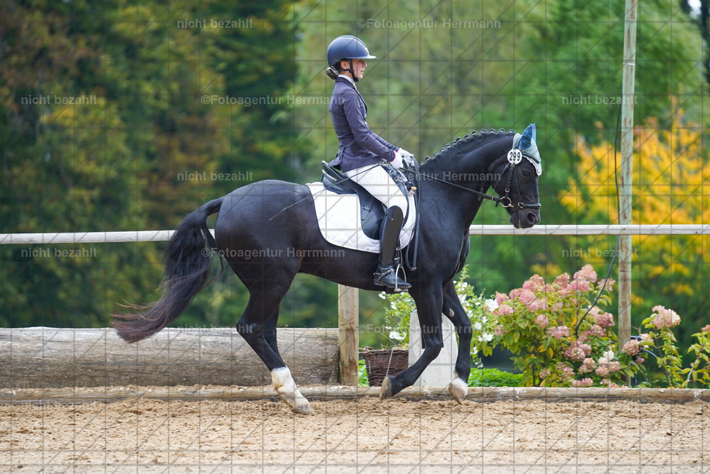 20221008-FAH01018 | Diessen am Ammersee, 2022, Dressur- und Springturnier, Reitsportbilder, Turnierfotografen Bayern, Pferdefotografen, Fotoagentur Herrmann, Turnierbilder
