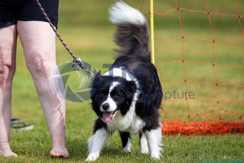 TP-20240815-0104 | Copyright: Trainproduction / Matthias Trinkl