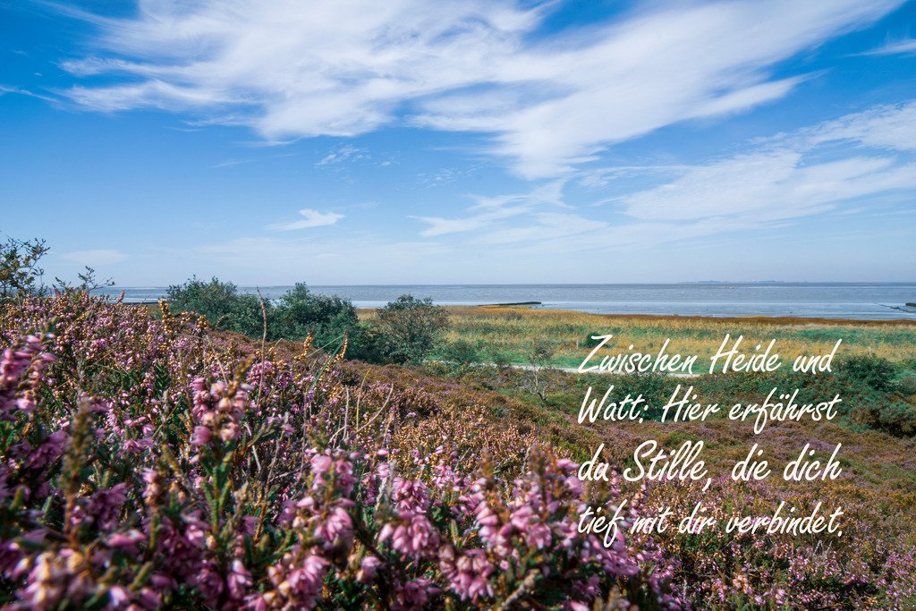 Meer Kalender 2026 - Nordseemotiv mit Text | Gestalten Sie Ihr Zuhause mit einzigartigen Bildern von Ostsee u. Nordsee – als Leinwandbild, Acryl, Alu-Dibond oder FineArt Hahnemühle, individuell anpassbar.