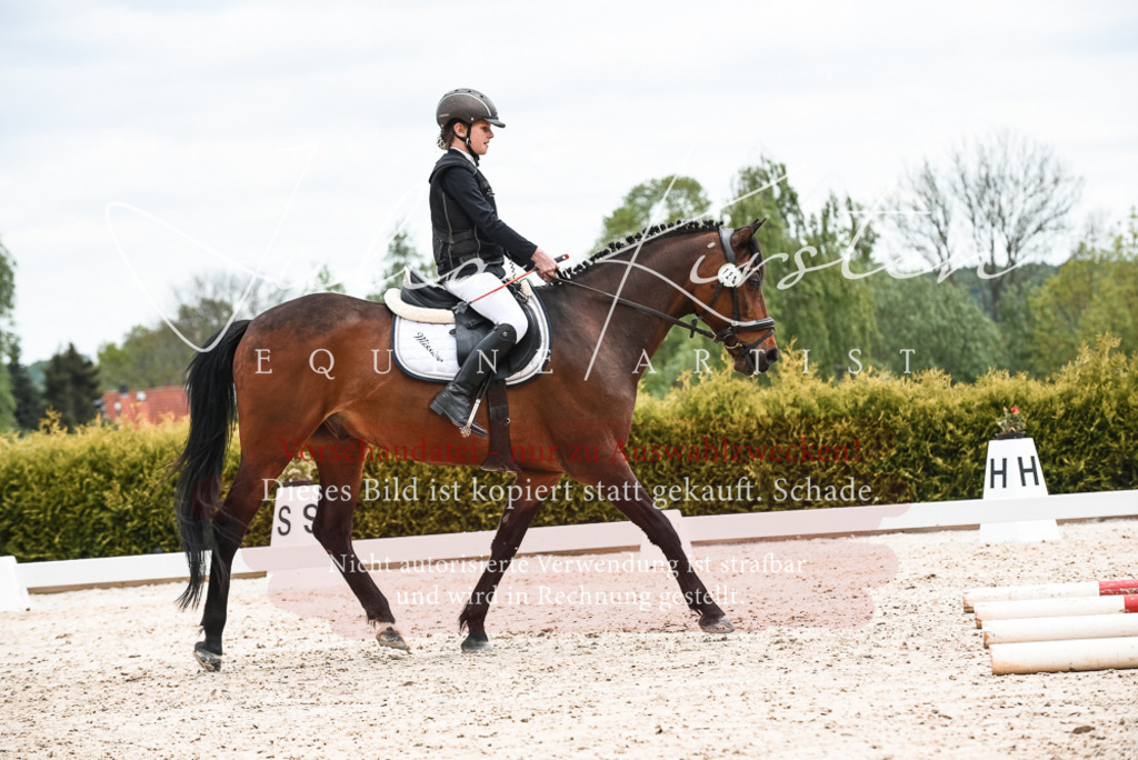 20230518_JK-Röhrsdorf-10-689 | Pferde- und Turnierfotografie in Westsachsen. Pferdeportraits, Auftragszeichnungen und intuitive Kunst.
