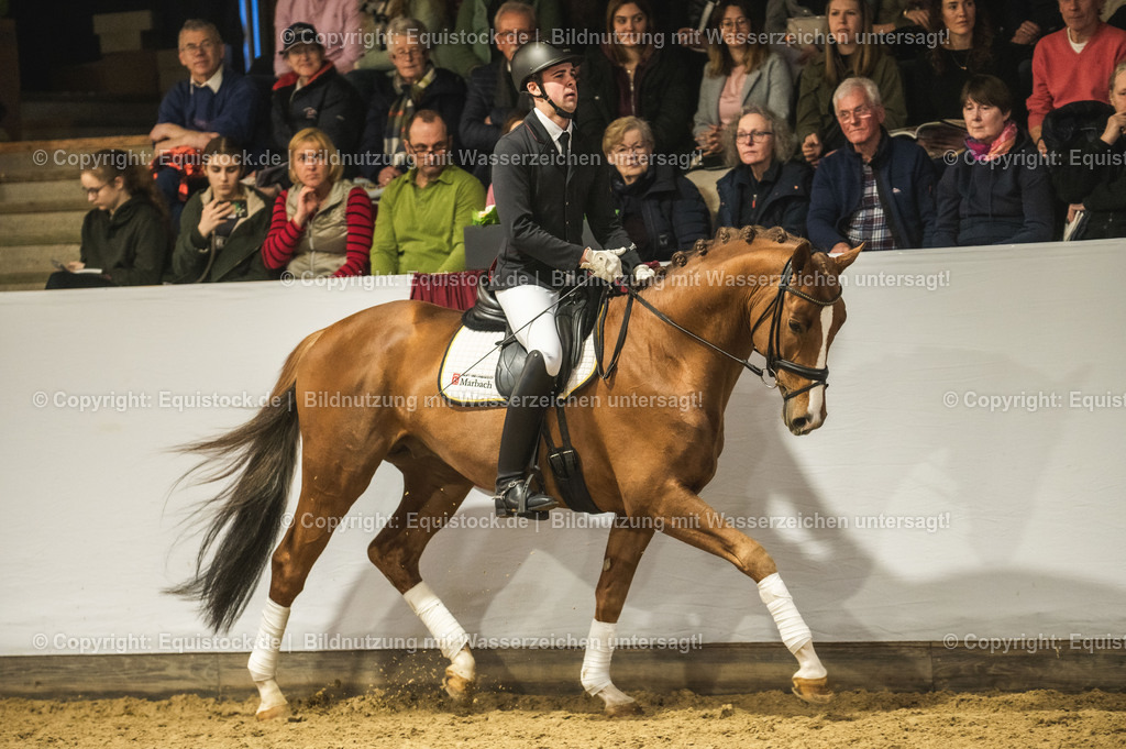 20240302_Hengstvorstellung_Marbach_TOMsPiC_0367-2 | equistock