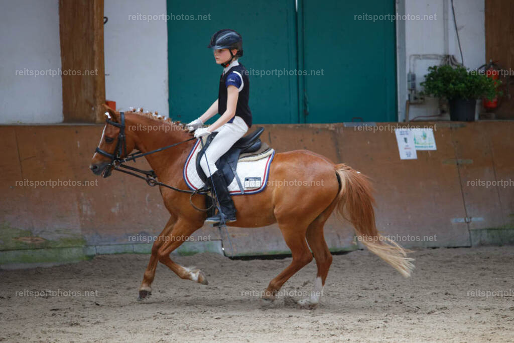 JHE_3962 | JoYa Fotografie - Realisiert mit Pictrs.com