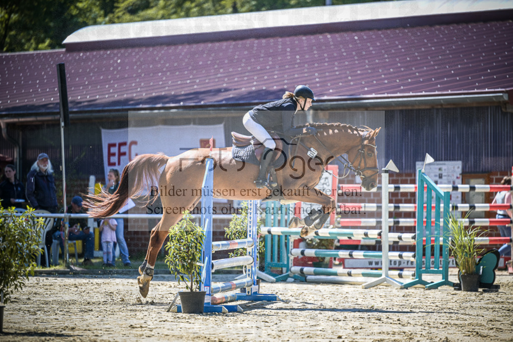 DOS_0226 | Entdecke hochwertige Reitturnierfotos von Foto Oger. Professionell, emotional und authentisch – jetzt Lieblingsmomente im Shop bestellen.Deutschlandweite Turnierfotografie. - Realisiert mit Pictrs.com