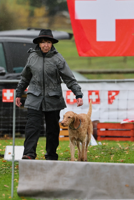 2025_Rally_Obedience_SM-228 | Ich fotografiere Hundeausstellungen, Sportanlässe, Zuchtstätten, Hundezucht, Hundeportrait, Lagotto - Realisiert mit Pictrs.com