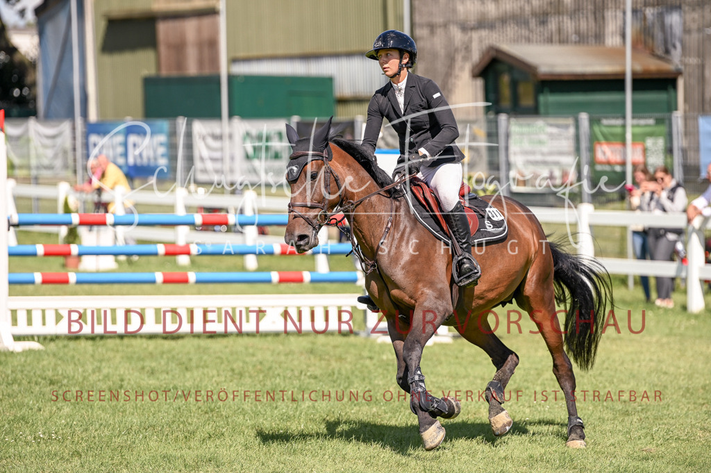 Schugtsche-Düren.2024-09.Springprf.L-43 | Schugtsche Fotografie - Realisiert mit Pictrs.com