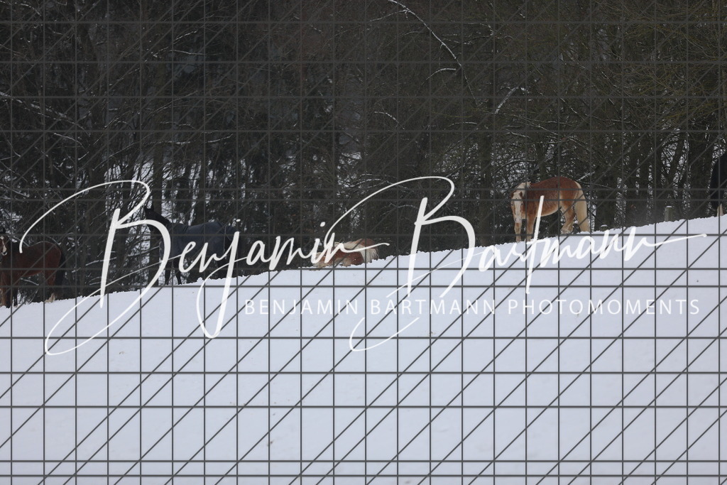 AZ2A3382 | Benjamin Bartmann Photomoments