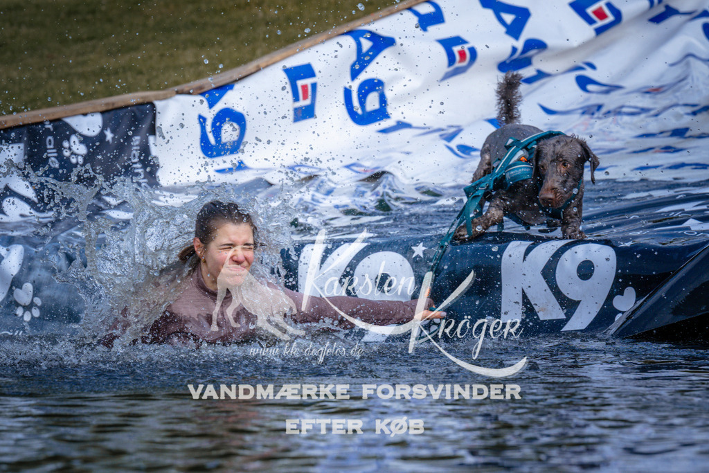 _ZZ968720738 | kk-dogfotos