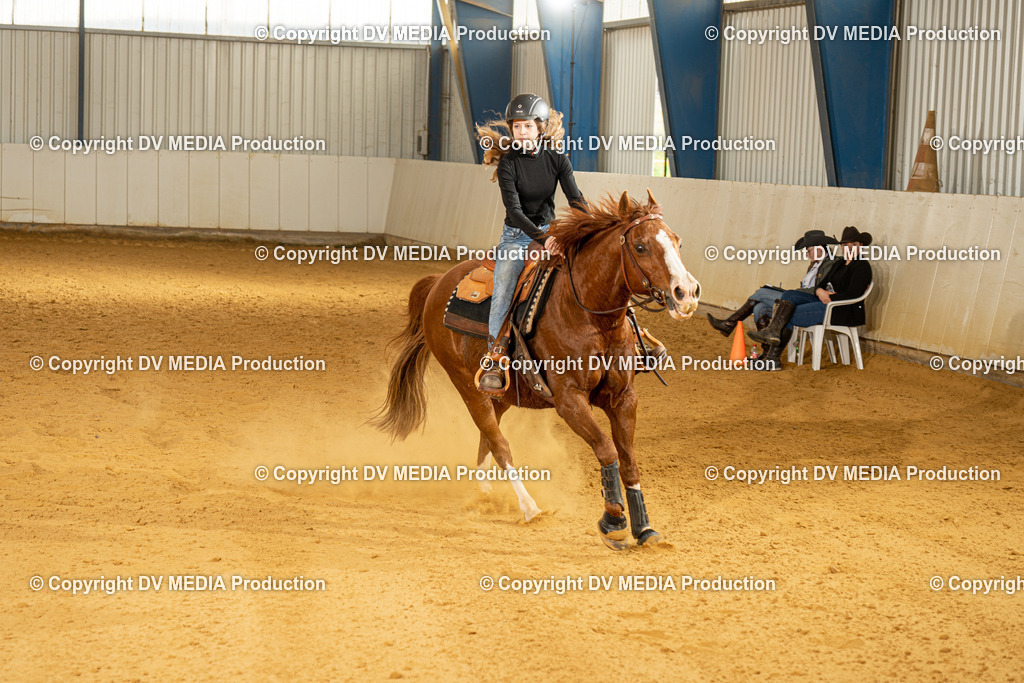 MIT00180 | dv-media-shop - Realisiert mit Pictrs.com