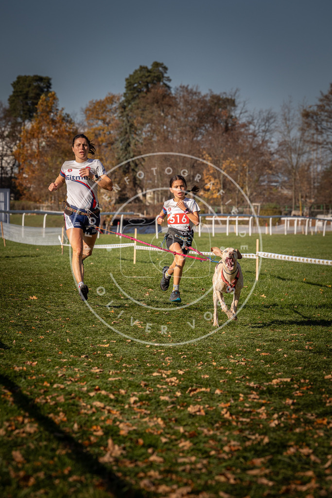 CaniXpix_0L8A6968 | Hundefotografie, Tierfotograf, Pfotenfotografie, Fotoshooting Hund, Hunde Portrait, Hundesport, Hundeportraits, Heideshooting, Hunde, Sportfotograf, Hundefotograf, Turnierhundsport, THS,  - Realisiert mit Pictrs.com
