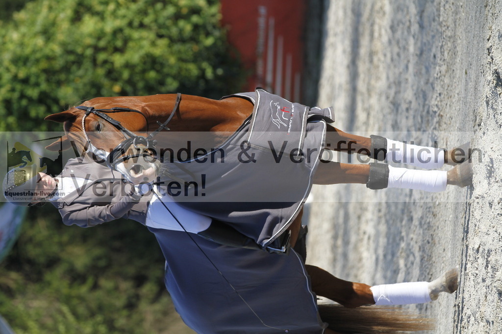 _MG_2980 | equestrian-live-com