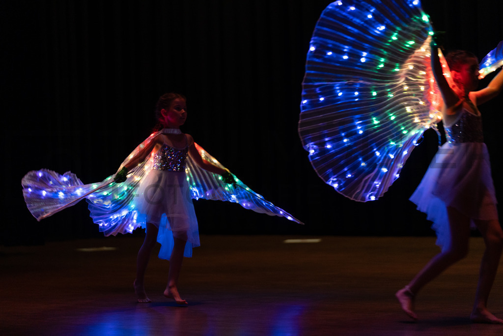 DSC08729 | Tinu Müller Fotografie- Bildershop - Realisiert mit Pictrs.com