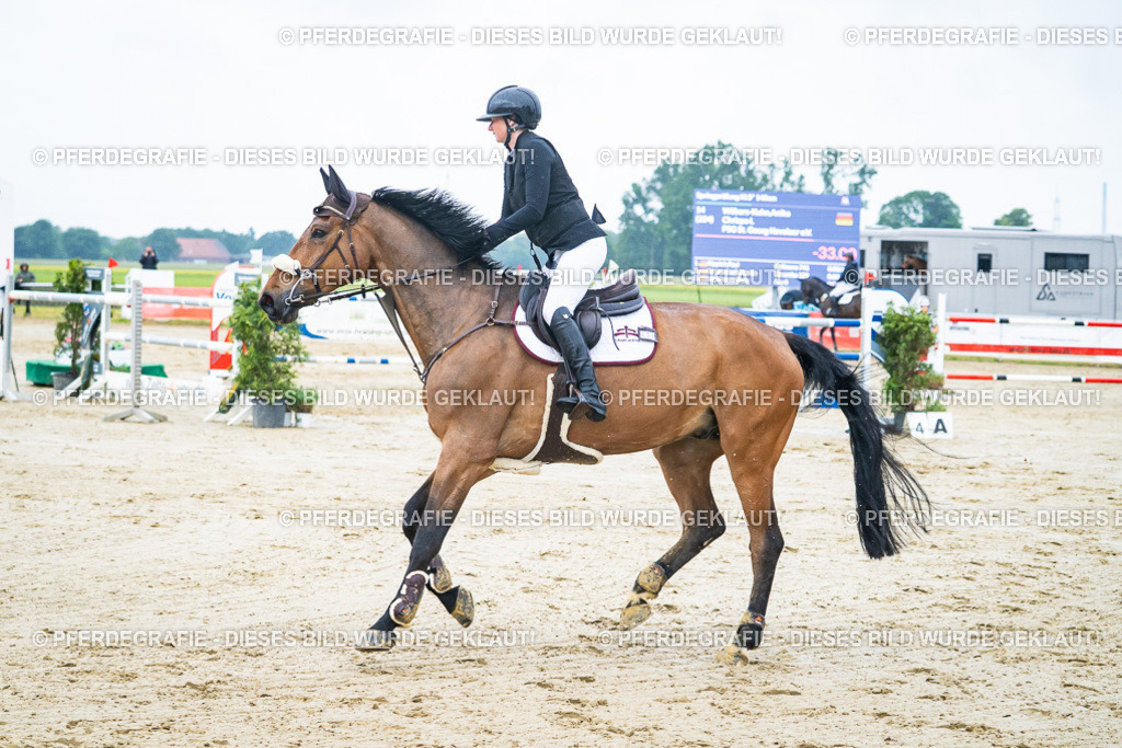 DSC00143 | Pferdegrafie