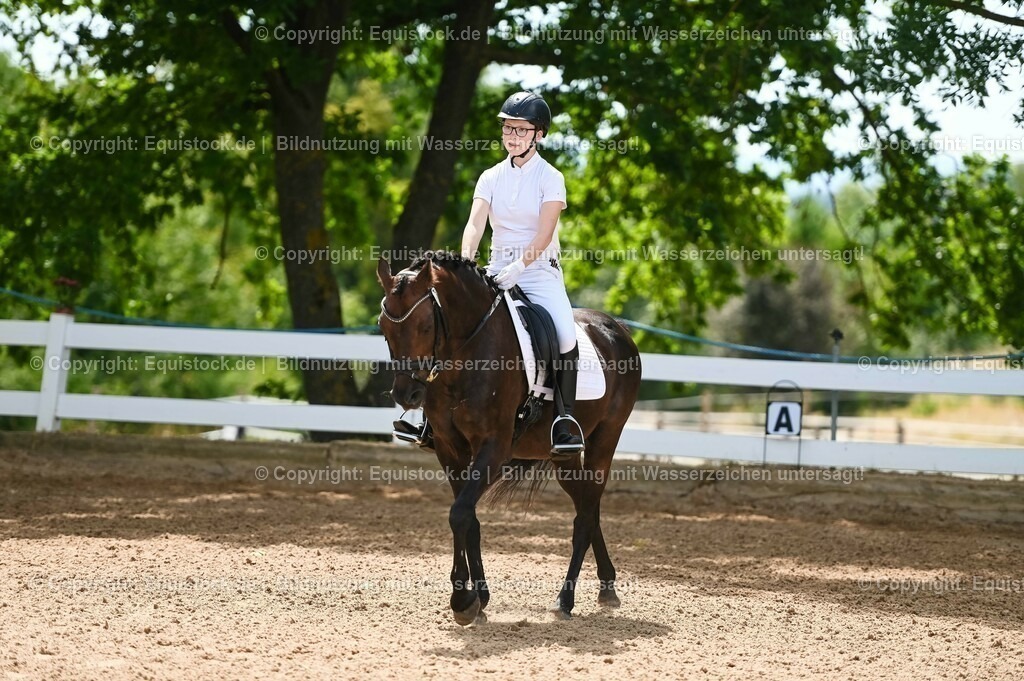 20230715_09_Dressur-WB_0202 | equistock