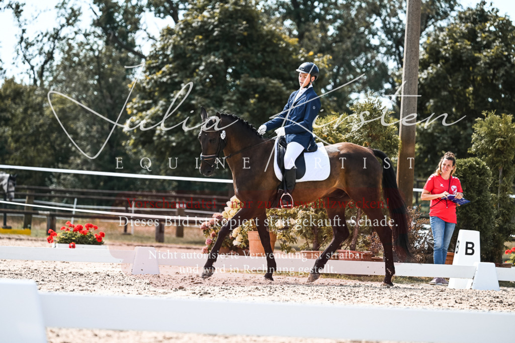 DSC_5429 | Pferde- und Turnierfotografie in Westsachsen. Pferdeportraits, Auftragszeichnungen und intuitive Kunst.
