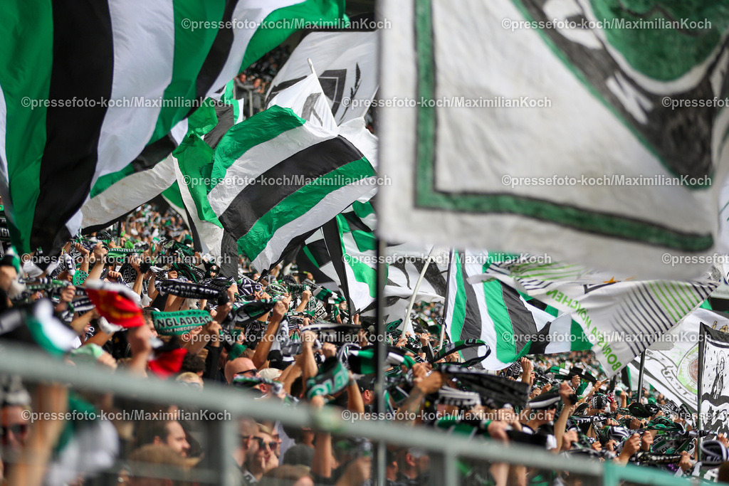BMG14092402105 | 14.09.2024, 1. Fußball Bundesliga, Borussia Mönchengladbach - VfB Stuttgart, Borussia-Park, Saison 2024 2025: Borussia-Fans in der NordkurveDFB regulations prohibit any use of photographs as image sequences and or quasi-video.