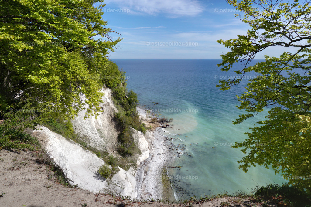 Hochuferblick | Spektakuläre Aussichten bietet das Hochufer im Nationalpark Jasmund. Hier fällt der Blick auf einen Teil der Kreidefelsen und auf das Ostseewasser in Ufernähe, das durch ausgewaschene Kreide milchig eingefärbt wird.