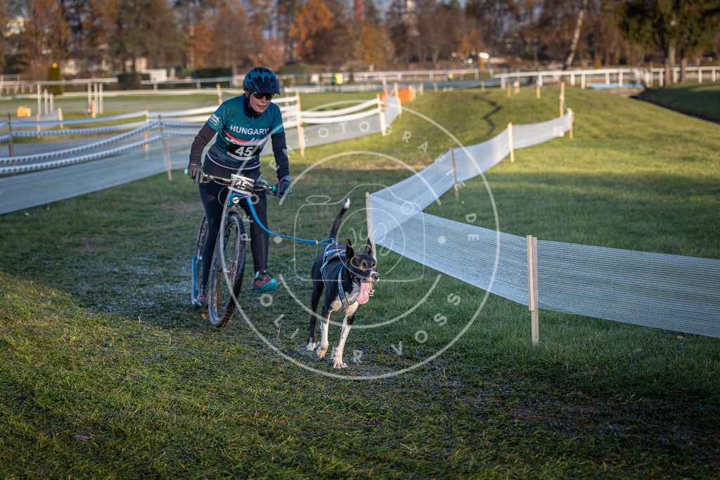 CaniXpix_0L8A2547 | Hundefotografie, Tierfotograf, Pfotenfotografie, Fotoshooting Hund, Hunde Portrait, Hundesport, Hundeportraits, Heideshooting, Hunde, Sportfotograf, Hundefotograf, Turnierhundsport, THS,  - Realisiert mit Pictrs.com