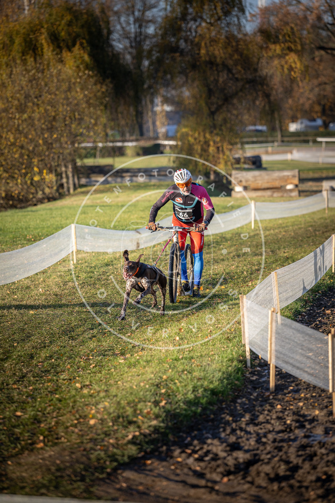 CaniXpix_DV3A1009 | Hundefotografie, Tierfotograf, Pfotenfotografie, Fotoshooting Hund, Hunde Portrait, Hundesport, Hundeportraits, Heideshooting, Hunde, Sportfotograf, Hundefotograf, Turnierhundsport, THS,  - Realisiert mit Pictrs.com