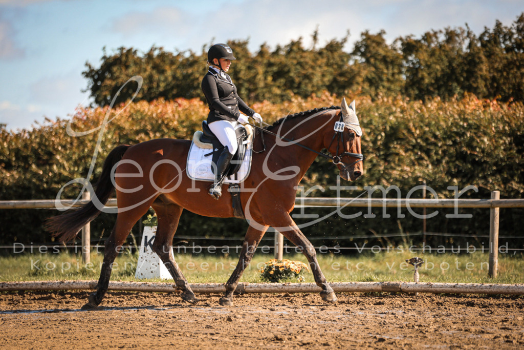07.SoDrE00195 | Leoni Ertmer Photography - Realisiert mit Pictrs.com