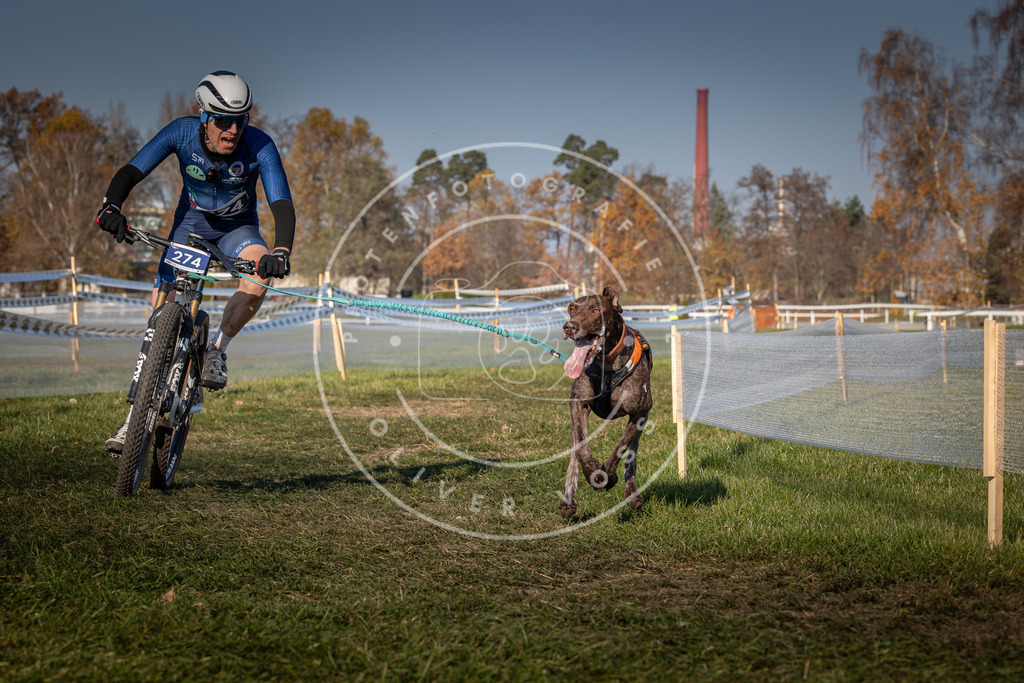 CaniXpix_0L8A6510 | Hundefotografie, Tierfotograf, Pfotenfotografie, Fotoshooting Hund, Hunde Portrait, Hundesport, Hundeportraits, Heideshooting, Hunde, Sportfotograf, Hundefotograf, Turnierhundsport, THS,  - Realisiert mit Pictrs.com