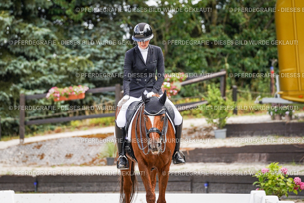 DSC04129 | Pferdegrafie