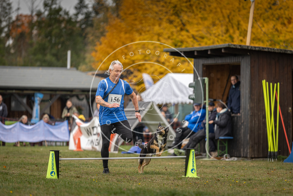 Pfotenfotografie_DV3A6243 | Hundefotografie, Tierfotograf, Pfotenfotografie, Fotoshooting Hund, Hunde Portrait, Hundesport, Hundeportraits, Heideshooting, Hunde, Sportfotograf, Hundefotograf, Turnierhundsport, THS,  - Realisiert mit Pictrs.com