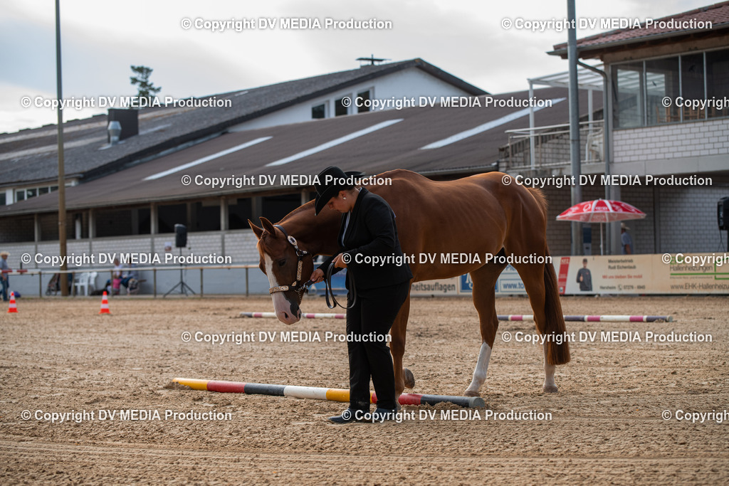 EWP_5565 | dv-media-shop - Realisiert mit Pictrs.com