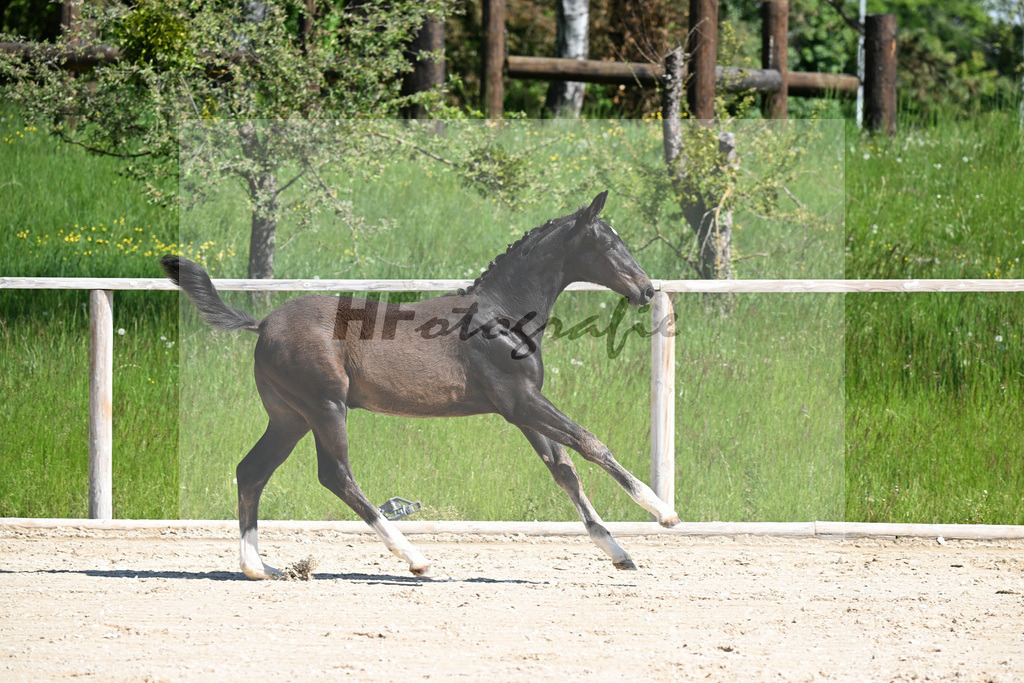 Escaneno x Negro_HF_Eder_10250078 | hf-fotografie - Realizzato con Pictrs.com