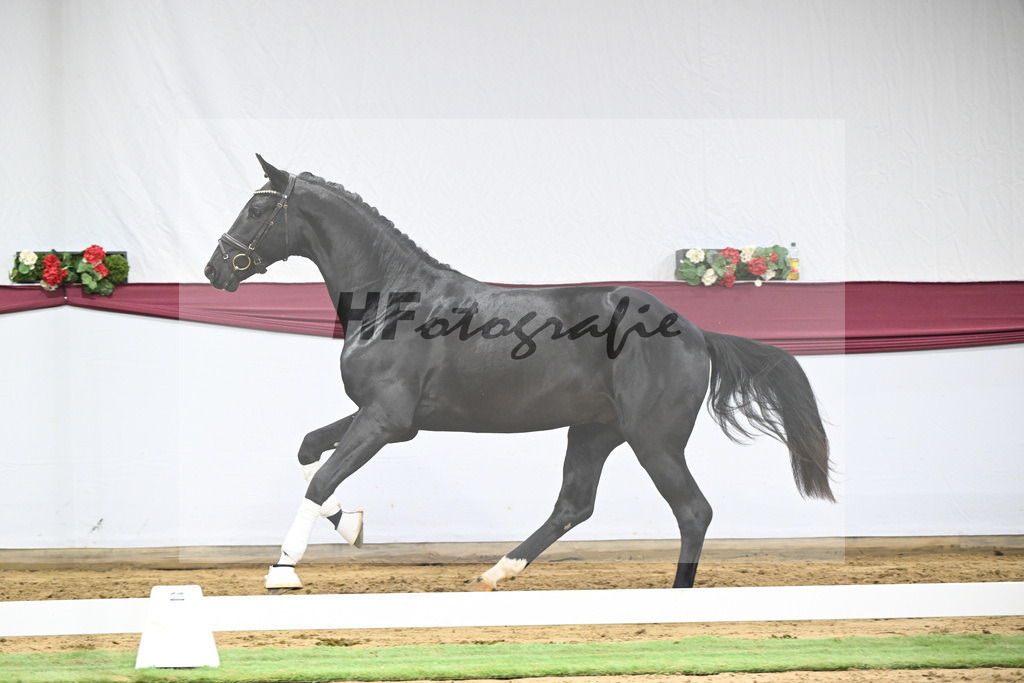 Kat-Nr. 40 Segantini x Fidertanz_Thomas Casper_47251416 | hf-fotografie - Realizzato con Pictrs.com