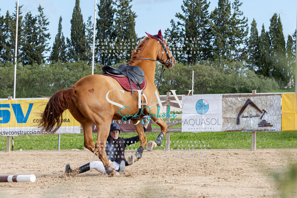 IMG_3642 | s-jay-photography - Realisiert mit Pictrs.com