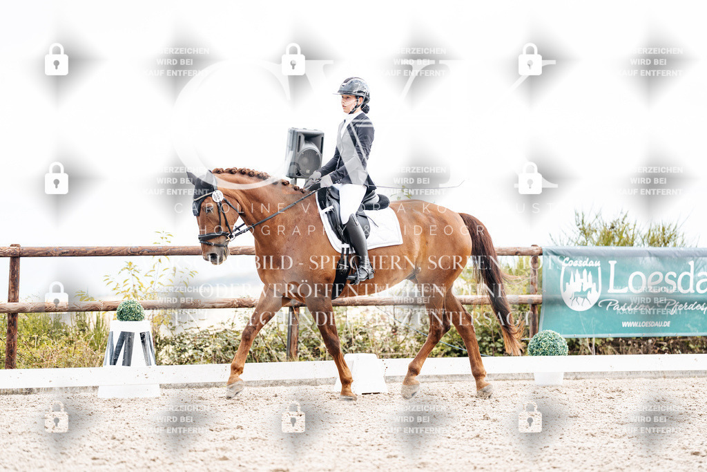 CK900865 | Turnierfotografie Pferdefotografie Trier Rheinland-Pfalz Pferdesport Reitsport Tierfotografie Sportfotografie Pferdevideo Pferdevideografie Equestrianvideography equestrianphotography  - Realisiert mit Pictrs.com