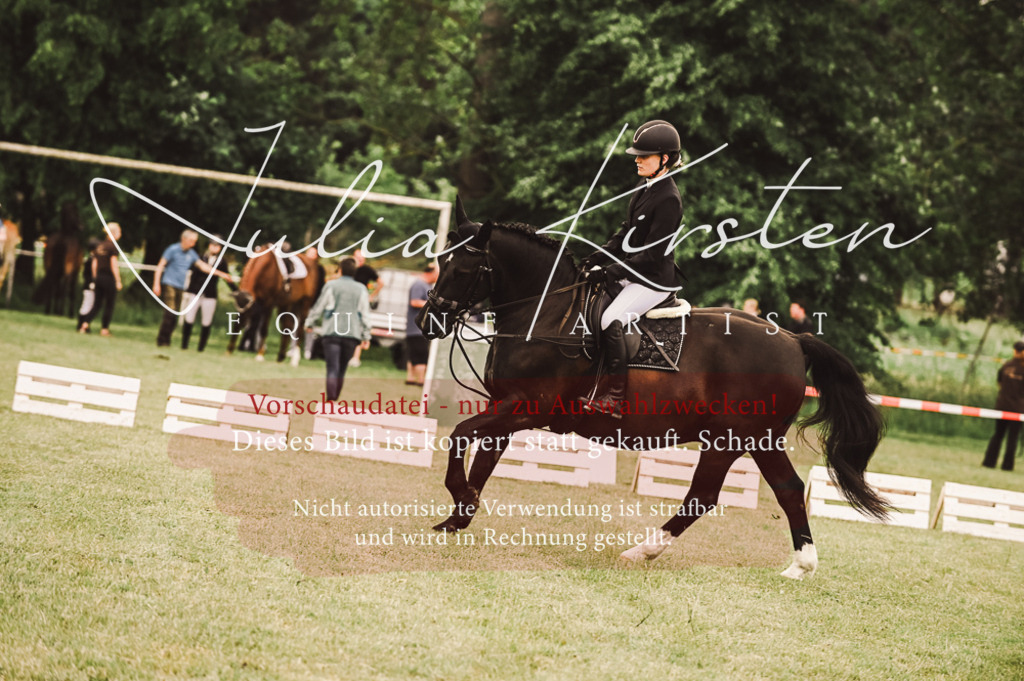 DSC_5104 | Pferde- und Turnierfotografie in Westsachsen. Pferdeportraits, Auftragszeichnungen und intuitive Kunst.