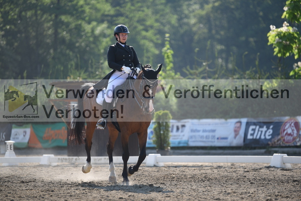 DSC_3105 | equestrian-live-com